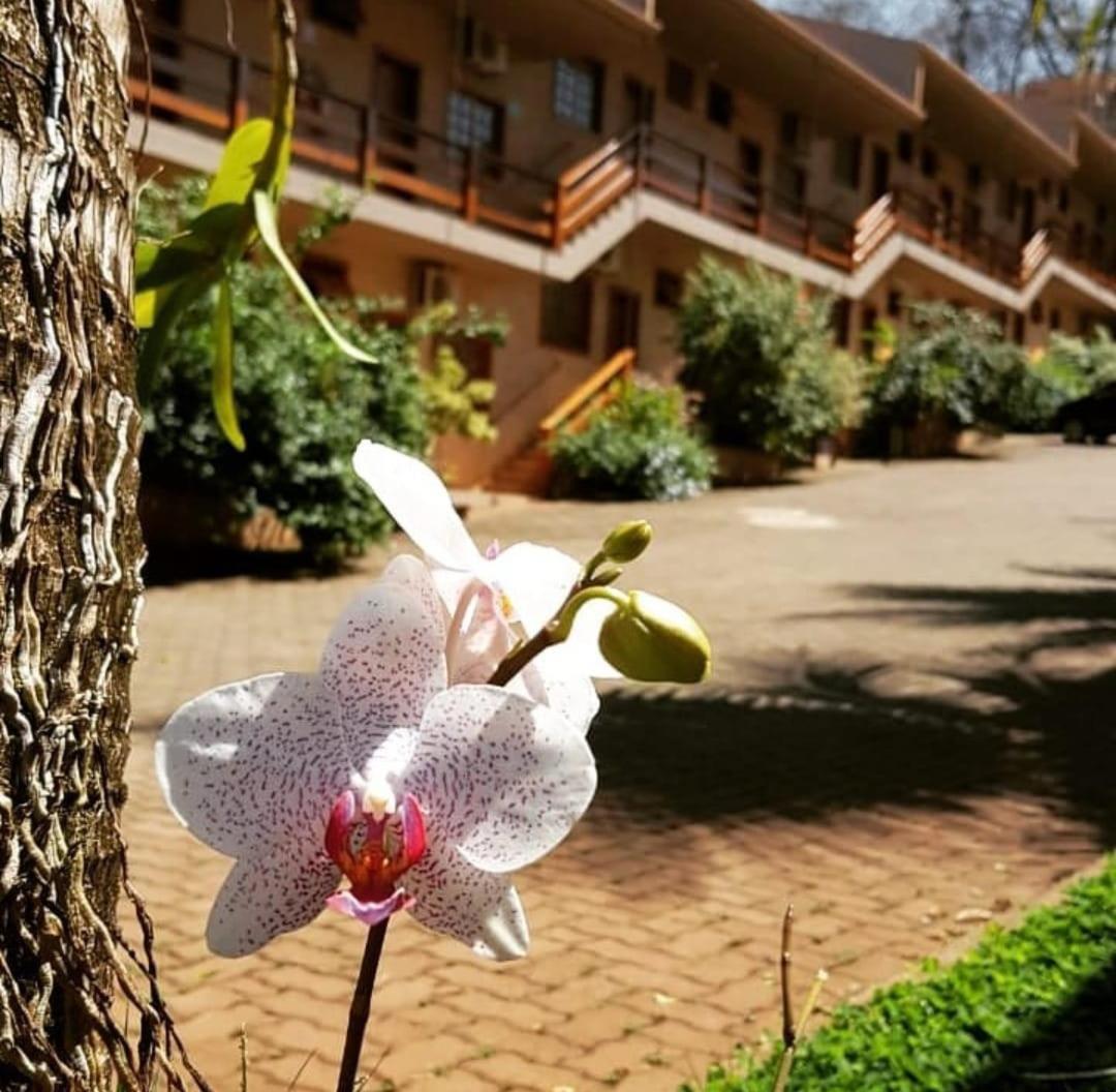 Hotel Pousada Santa Rita Ribeirão Preto Dış mekan fotoğraf